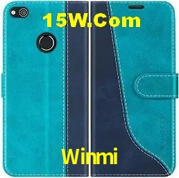 Casino VIP Winmi